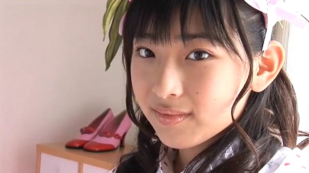 山田レイナDVD作品集