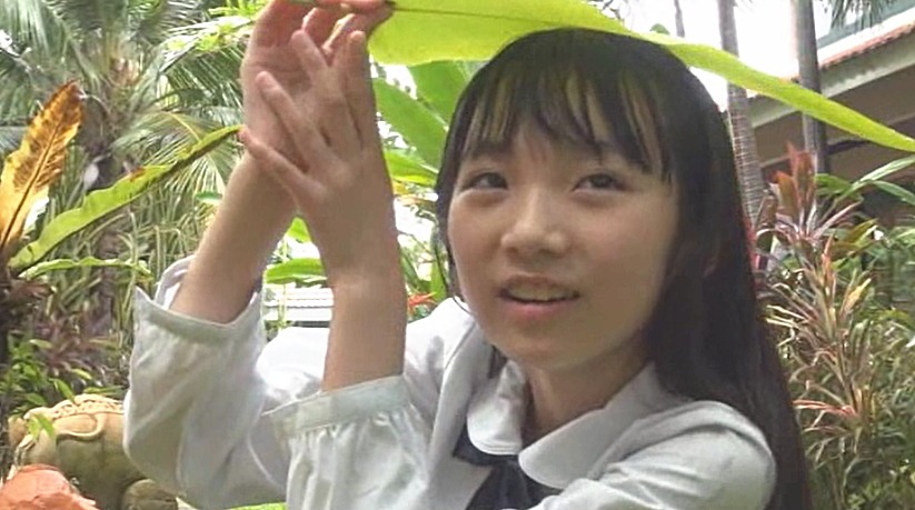 すみれの花物語：河合すみれ